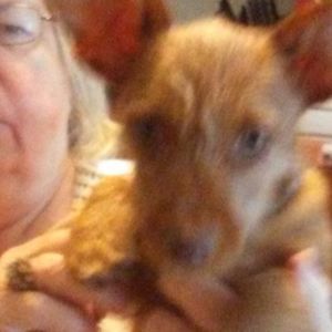 Meet your Posher, Mary